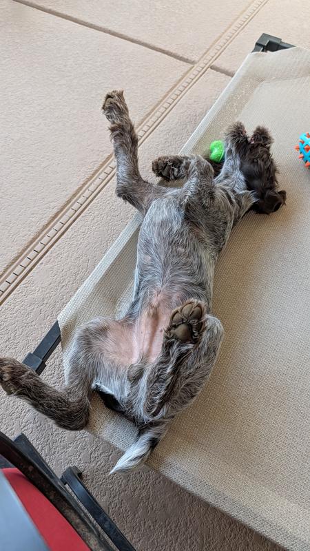 Love my Coolaroo hammock!