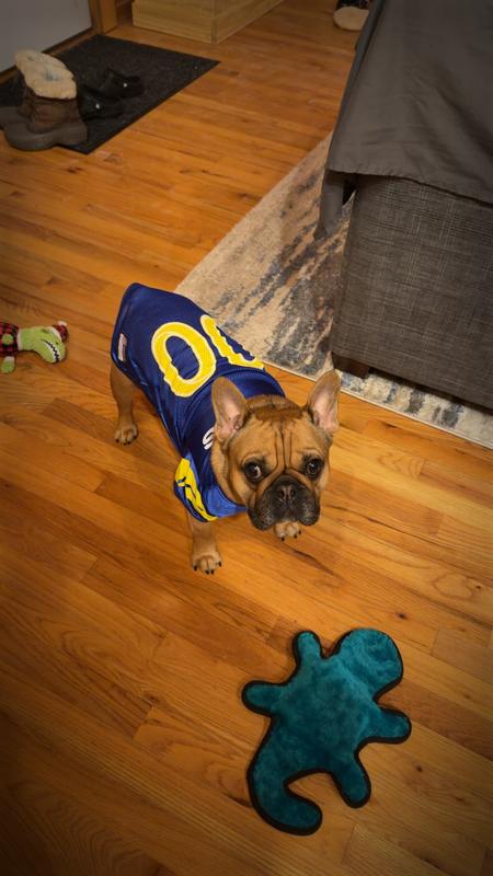 Febie in her new Rams gear!