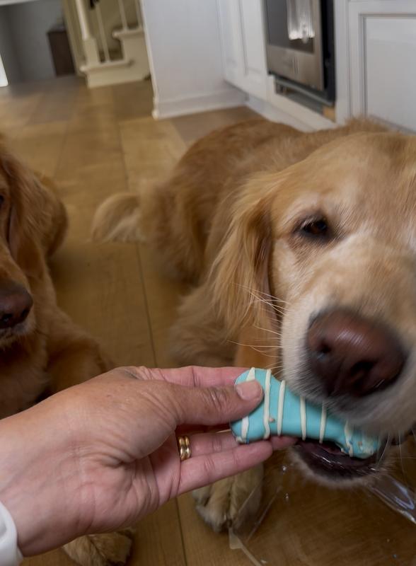 Time to eat a treat