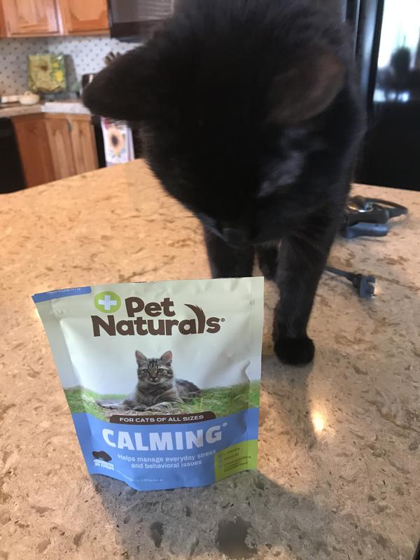 Pet naturals clearance calming for cats