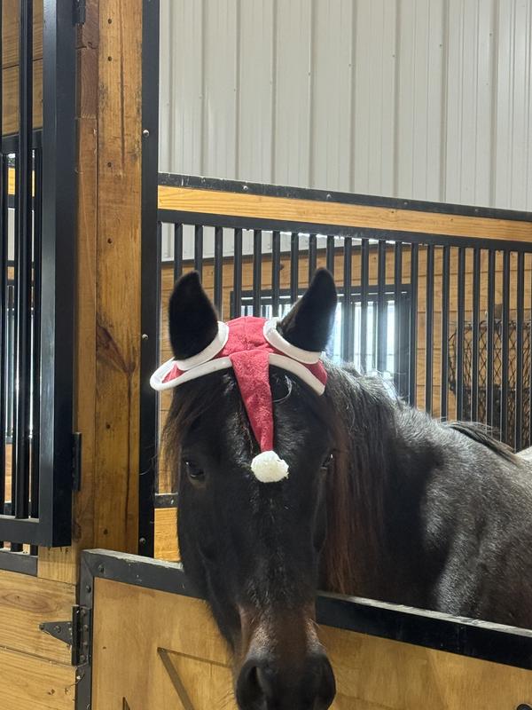 Santa hat for horses