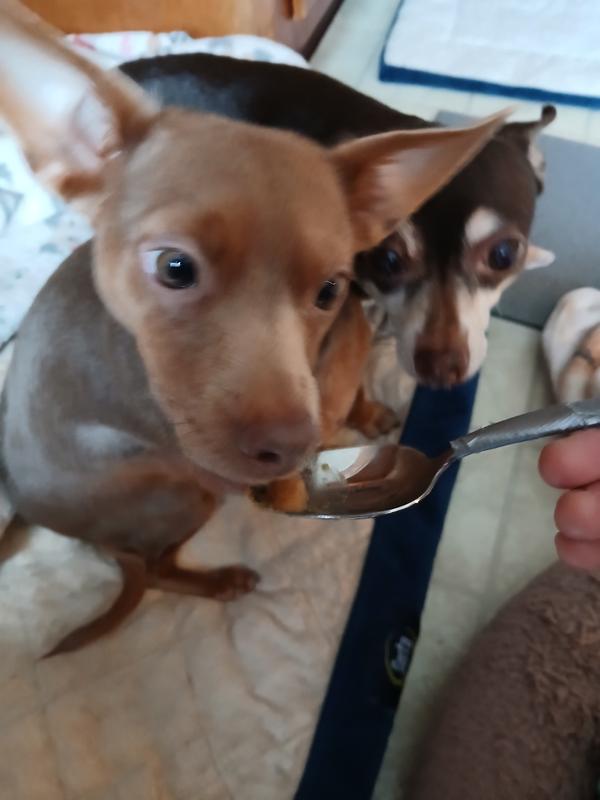 licked the spoon clean :)