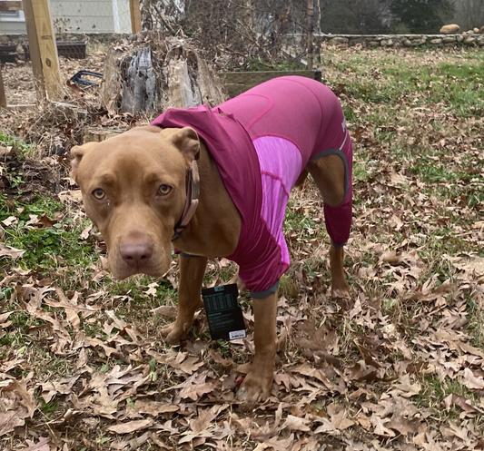 The neckline is way too low