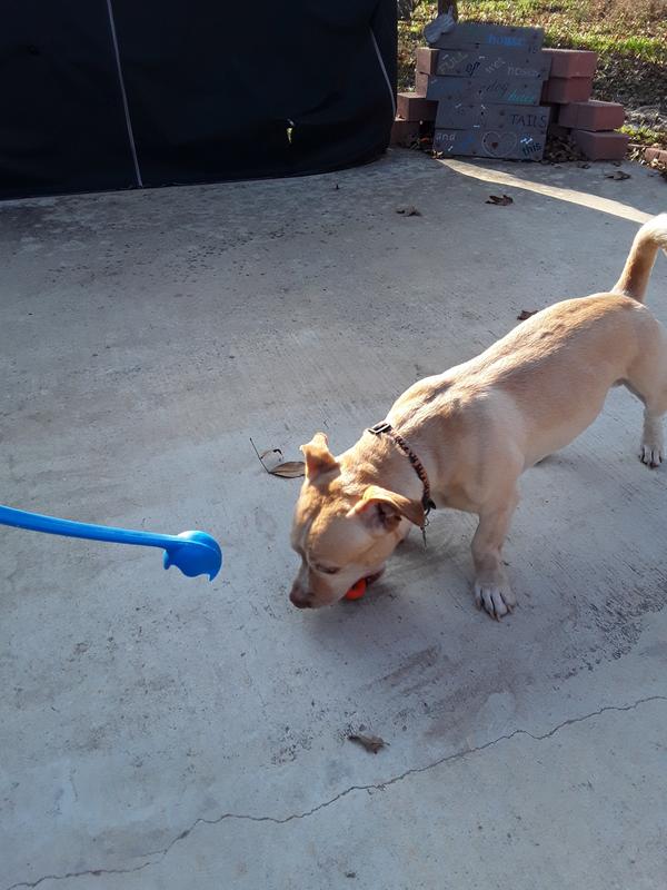 Hutch squeezing ball before giving it up