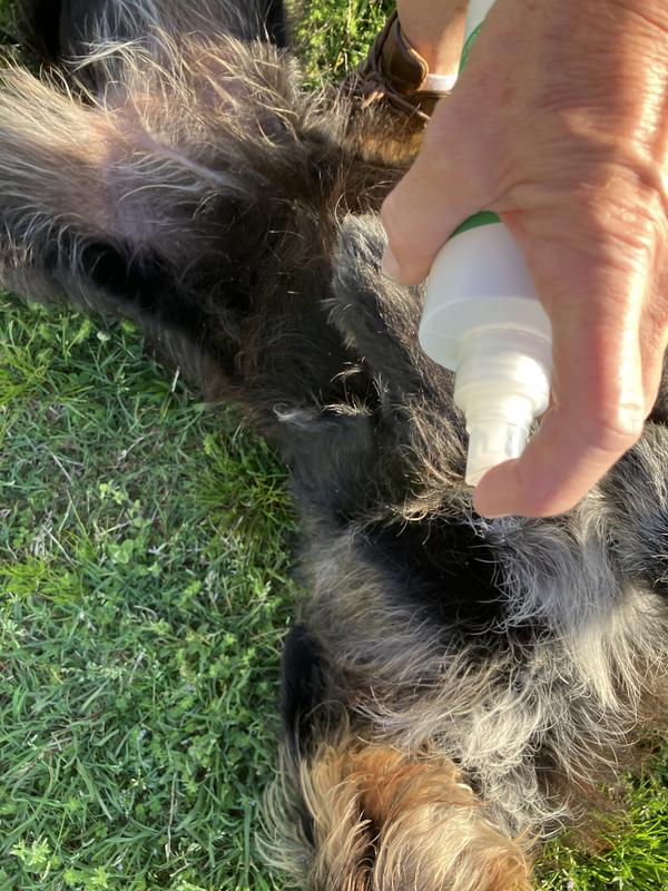 She is laying while getting the spray