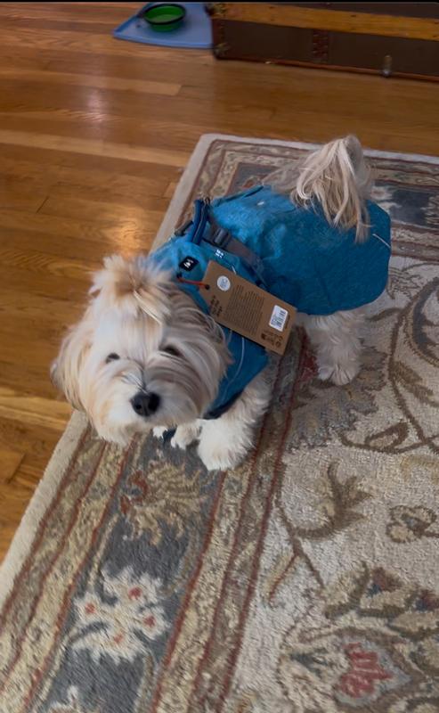 Hurtta Expedition Insulated Dog Parka