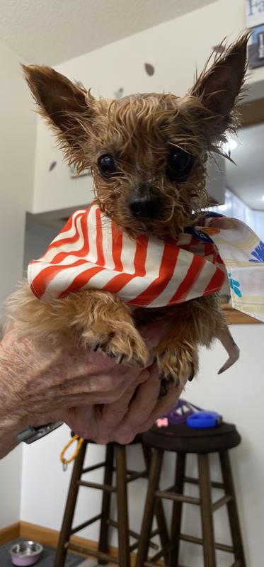 This is our little girl, Peanut