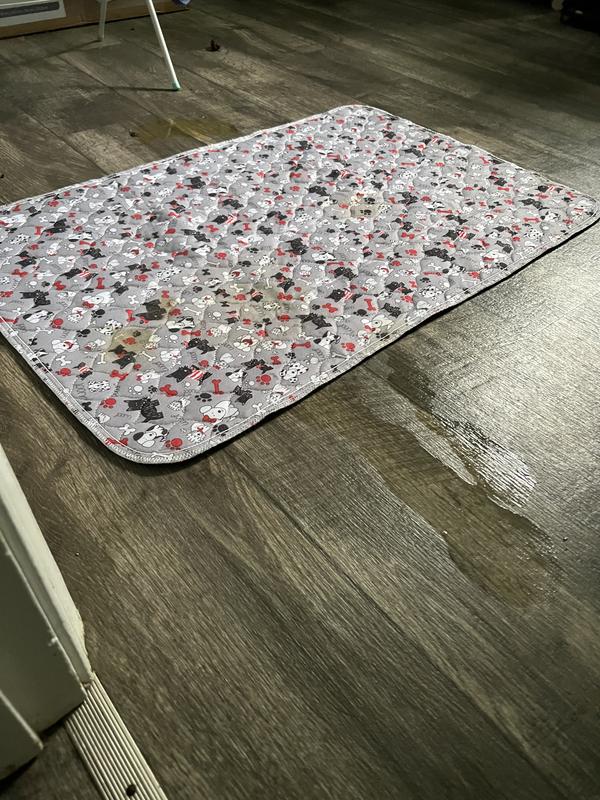 Not only did it leak through but didn’t contain anything.