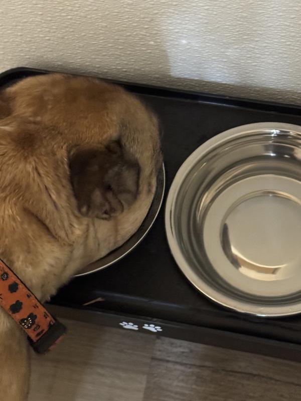 Picky eaters approved