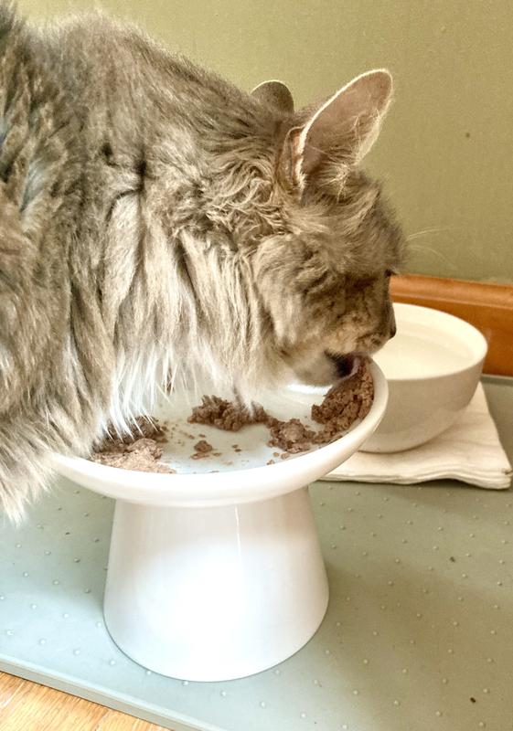 Smokey enthusiastically lapping up the Strong Heart