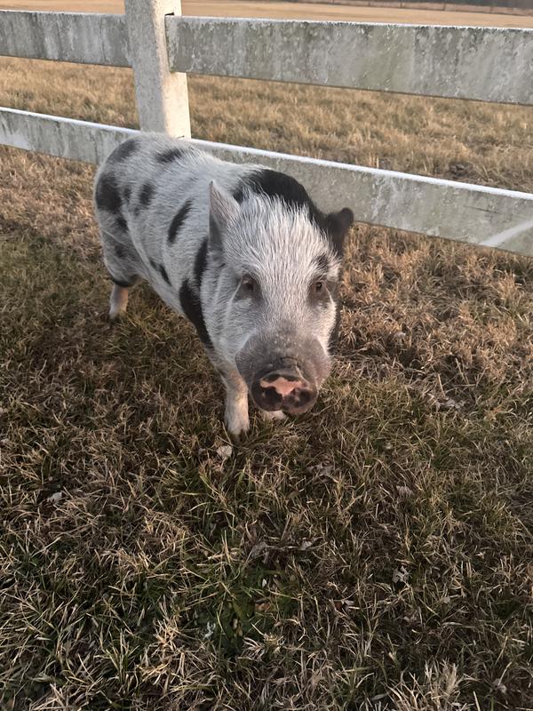 You caught me, I liked it!