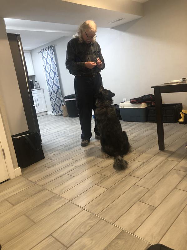 Waiting for her “treat” and going out and enthusiastically enjoying her life