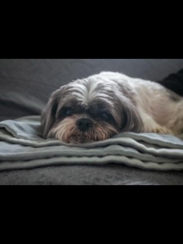 Taking her nap after breakfast.