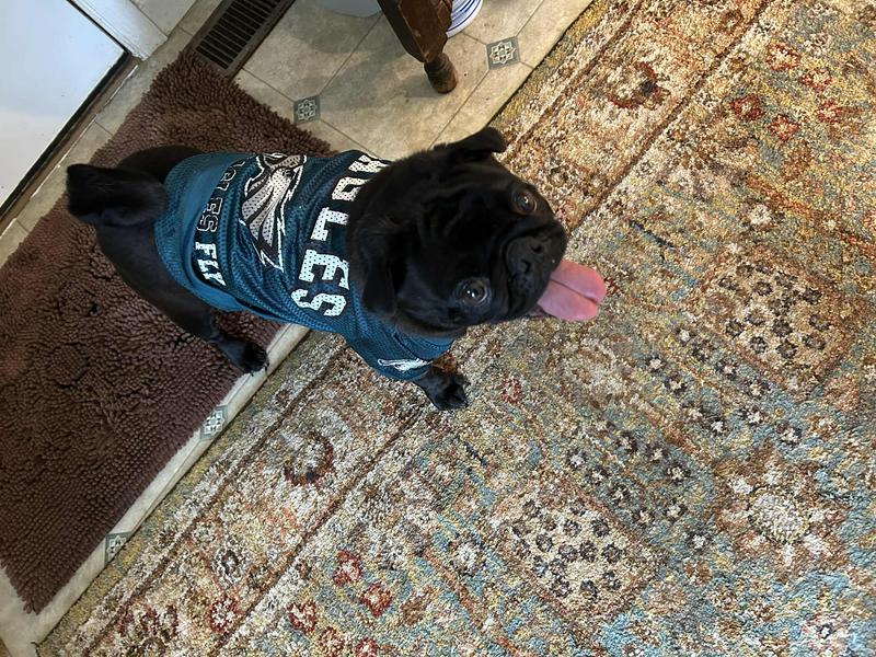 Newly an Eagles fan!