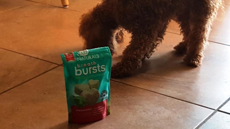 Ark Naturals Breath Bursts Peppermint Bits Small Dental Dog Treats, 4-oz bag
