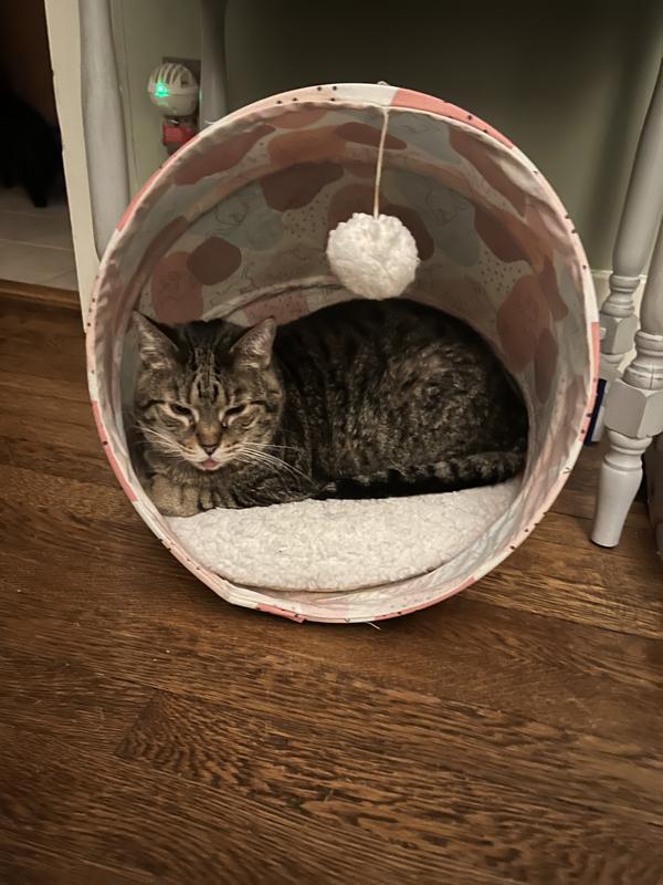 Frisco foldable canopy cat bed sales