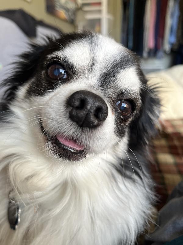 I’ve got a new lease on life thanks to my heart medication!