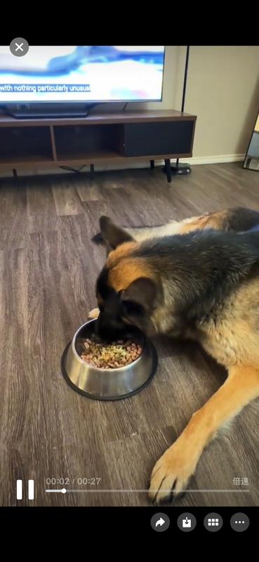 Did not agree with my dog