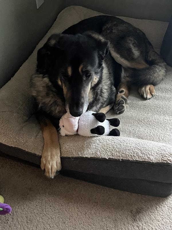 Happy boy!