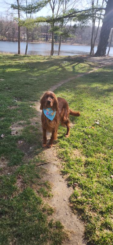 Lola having fun in the sun.