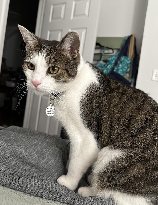 Marshall's custom tag with his personal information!