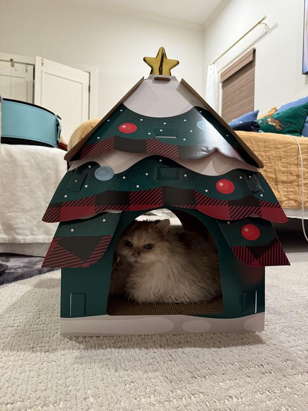 A small white cat sits inside a cardboard house that looks like a Christmas tree.