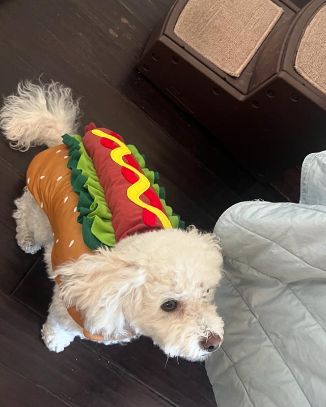 FRISCO Hotdog Dog Cat Costume reviews Chewy