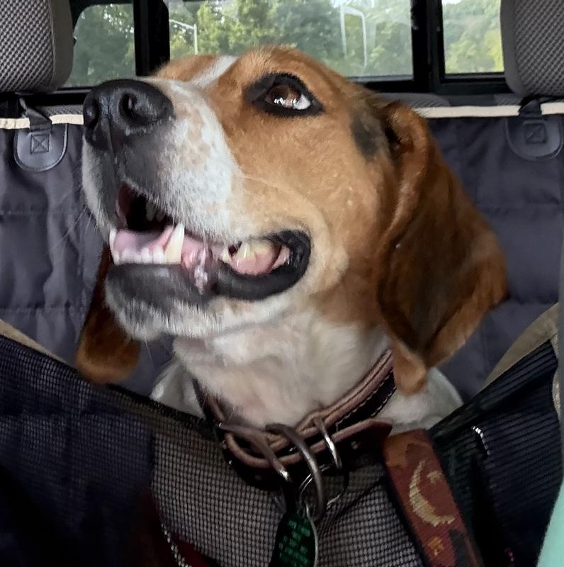 That’s as far as she goes!