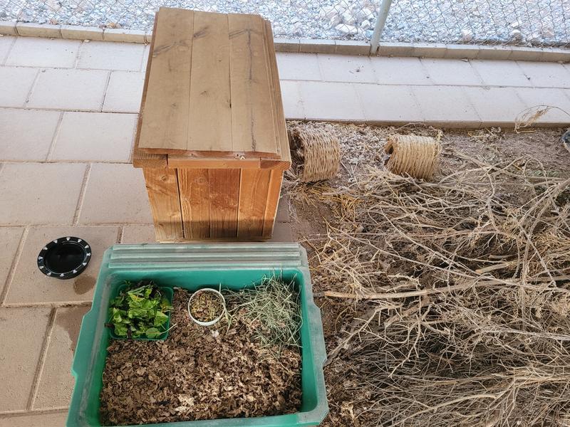 Pete's Feeding Station in his enclosure