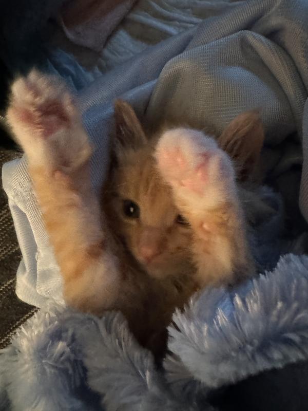 Tater Tot (TT) happy and full!