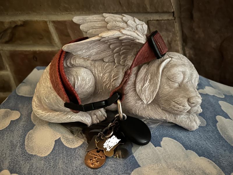 DON'T LET THIS HAPPEN TO YOUR PRECIOUS FURBABY