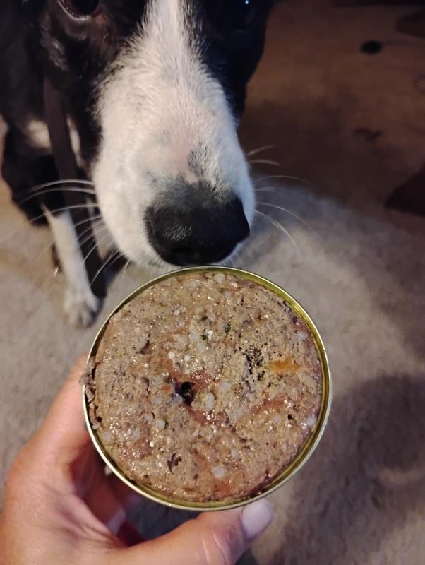 She couldn't wait once I opened it!