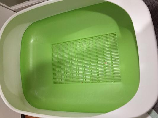 Empty tray to see the small area
