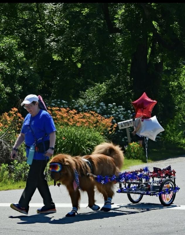 BARK BRITE Lightweight Neoprene Paw Protector Dog Boots, Blue, XLarge