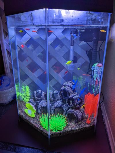 20 gallon Captivate fish tank with glofish sand