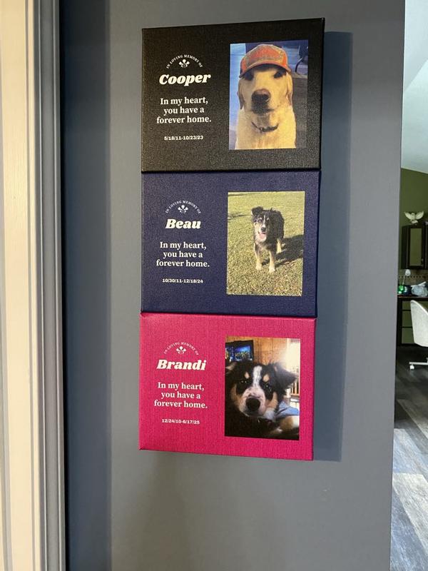 The last of the pack.