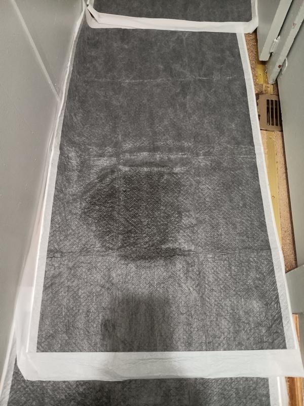 See. Peepee on top. Dry underneath!!