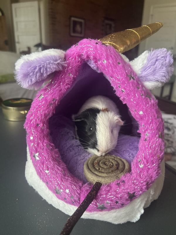 Super cute and cozy!