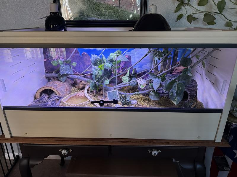 NEW AGE PET 50 gallon ECOFLEX Reptile Enclosure, Black, 36 x 18 x