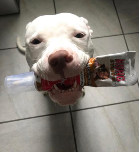 KONG Stuff'N Real Peanut Butter Dog Treat Tube - Atlanta, GA - The