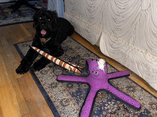 Help. My octopus brain fell out.  I am not so Tuffy and stuffy anymore
