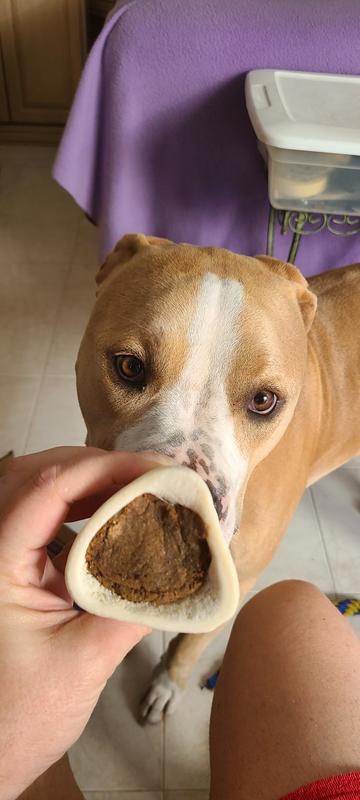 Sniffing and waiting for his treat!