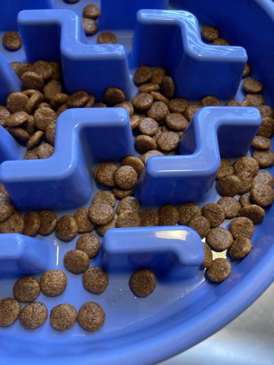 Outward Hound Fun Feeder Bowls Can Be Good for Dogs Who Eat Too Fast