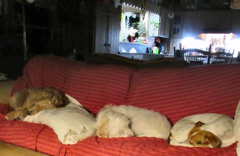 A full couch