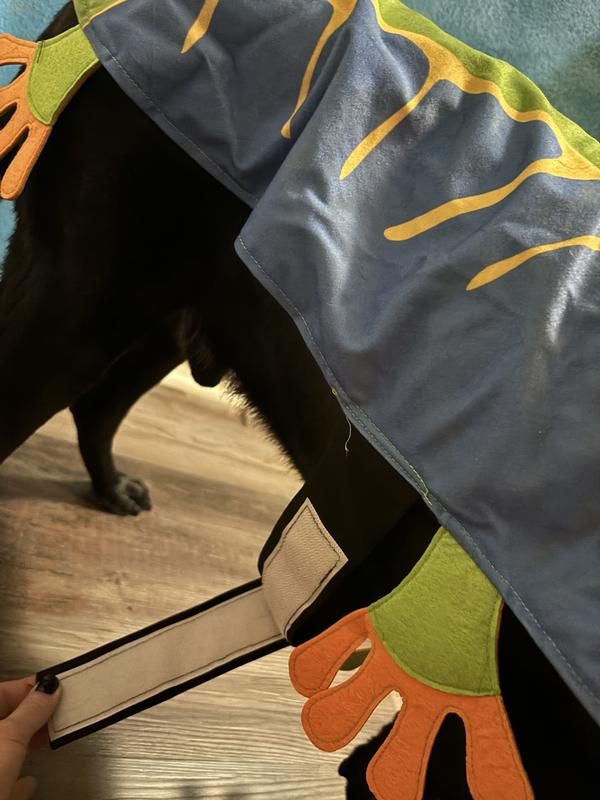 Velcro strap makes it easy to put on and take off