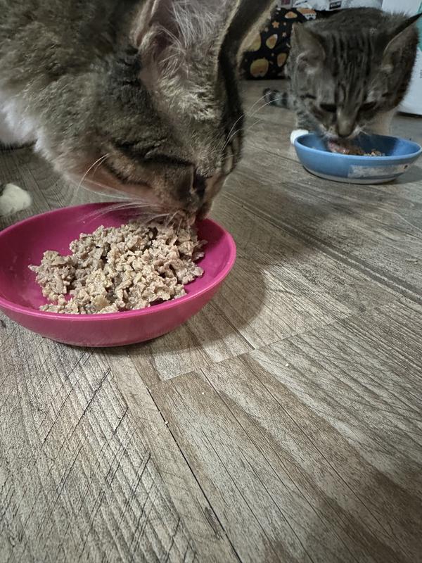 Black Bean and Frankie