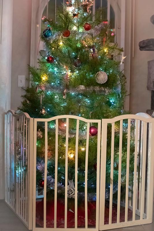 Order two if you want it to fit snugly around a tree.