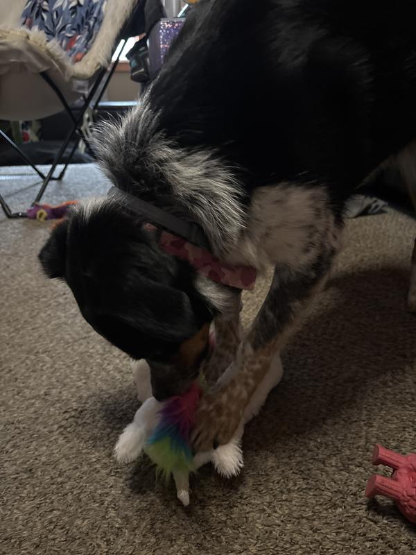 So excited she can’t sit still for a picture!