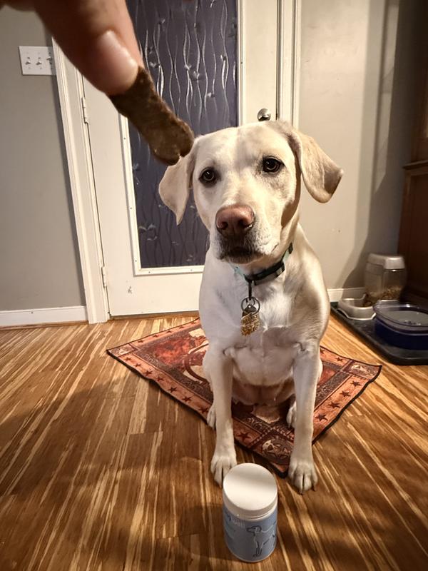 She thinks they are treats!