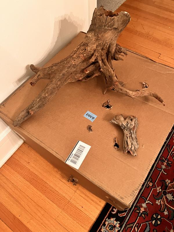 Broken root. Holes in boxes. No packing materials.